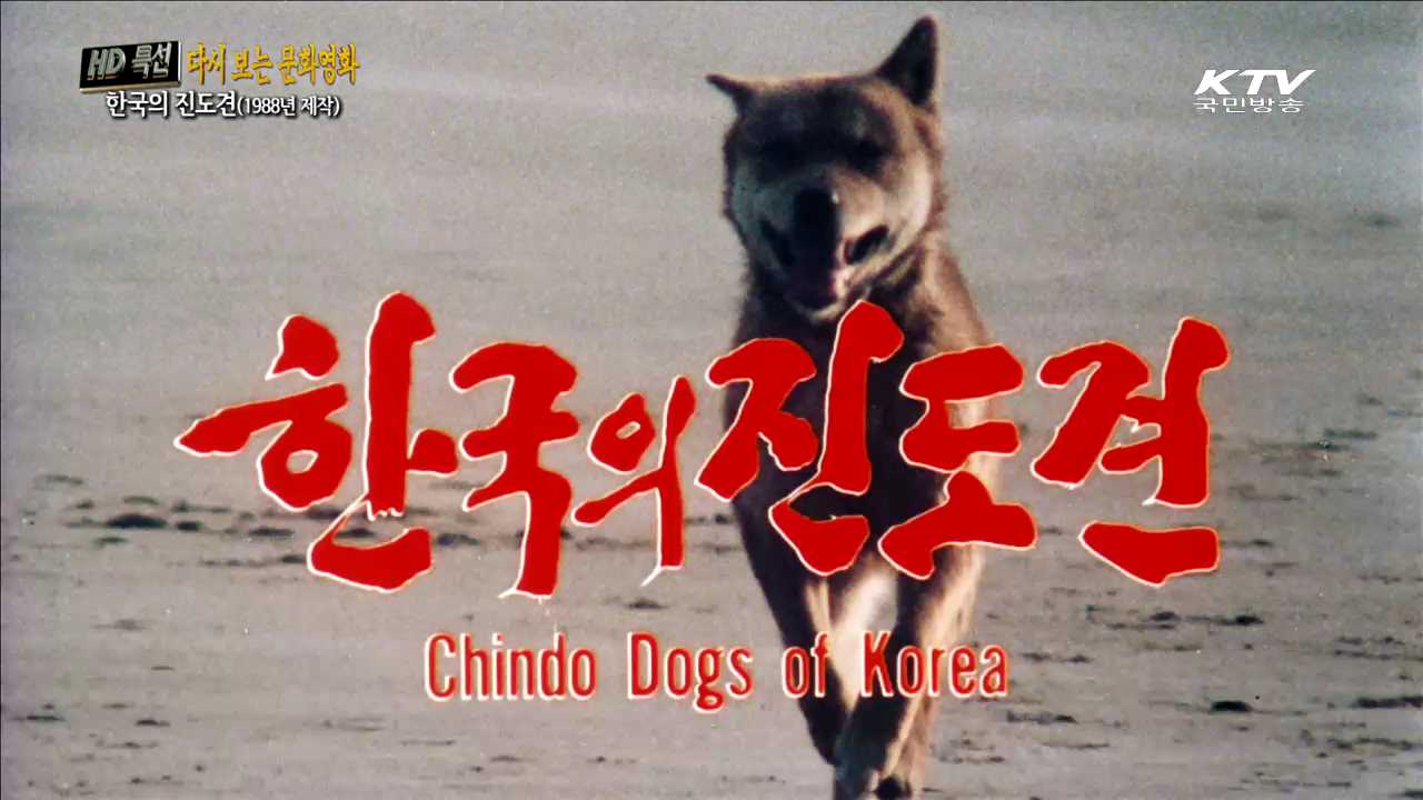 한국의 진도견 (1988년 제작)