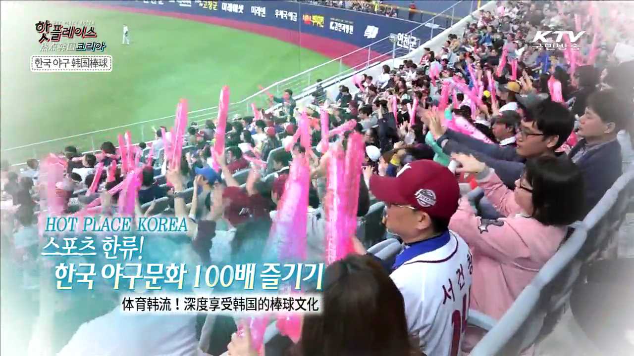 스포츠 한류! 한국 야구문화 100배 즐기기