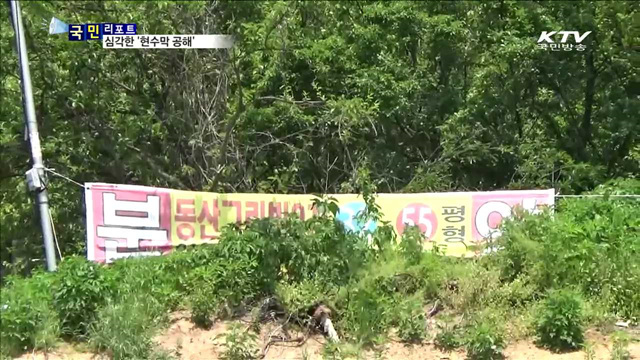 불법 현수막 난무…도시미관 추락