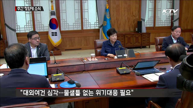  "브렉시트 파급 최소화…범정부 위기대응 체제"