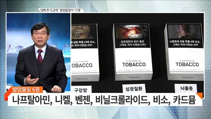 담배 한 모금에 '발암물질이 12종' [집중 인터뷰]