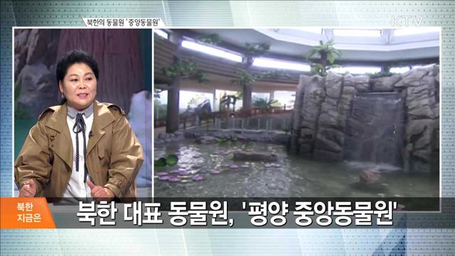 북한의 동물원 '중앙동물원' [북한 지금은]