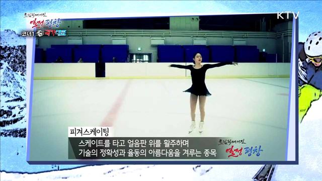 도전 국가대표 : 빙상의 꽃, 피겨스케이팅 2부 / Passion 평창 홍보단