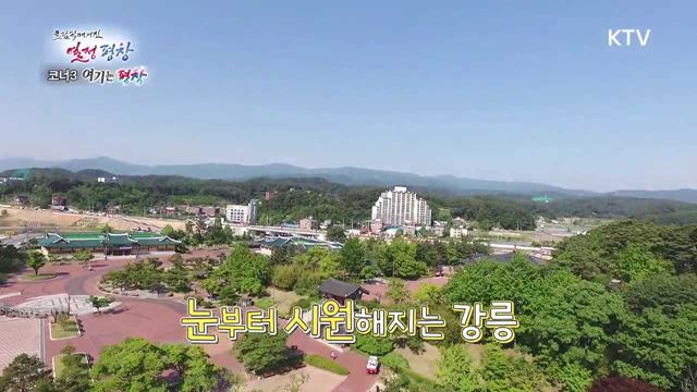 17회 여기는 평창 - 오죽헌 / 더덕 롤 가스