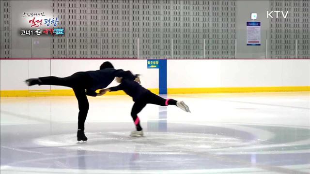 도전 국가대표 : 빙상 위의 꽃 피겨스케이팅 2탄 / Passion 평창 홍보단