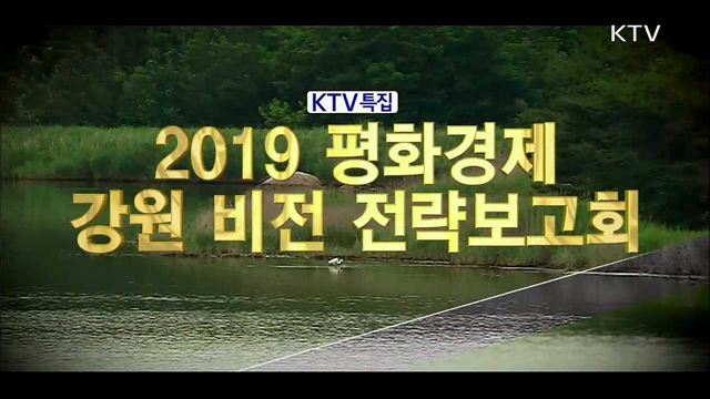 2019 평화경제 강원 비전 전략보고회