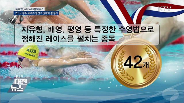 2019 광주 세계수영선수권대회 총정리 [똑똑한 정책뉴스]
