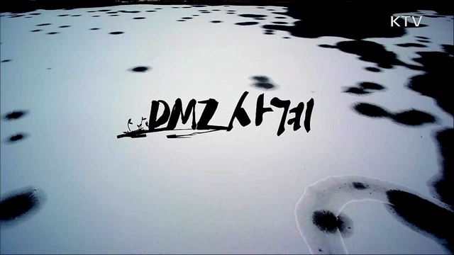 DMZ THE FOUR SEASONS(사계)
