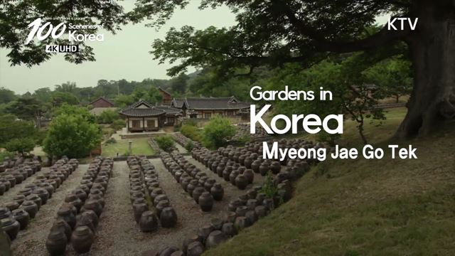 100 Sceneries of Korea (14회)
