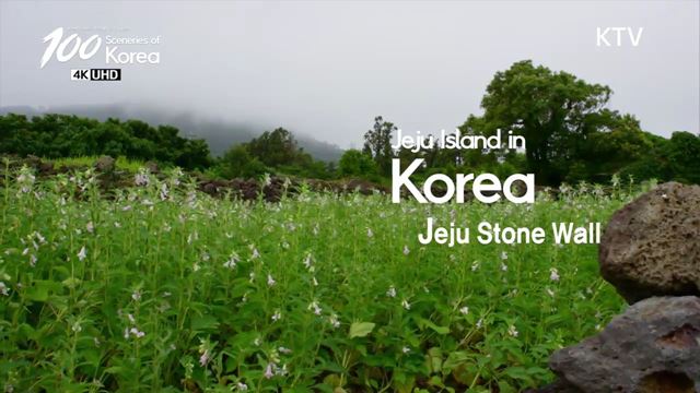 100 Sceneries of Korea (10회)