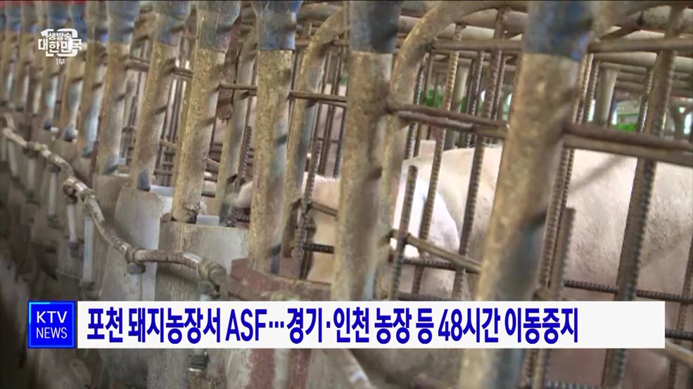 포천 돼지농장서 ASF···경기·인천 농장 등 48시간 이동중지