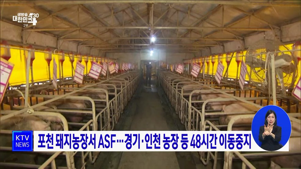포천 돼지농장서 ASF···경기·인천 농장 등 48시간 이동중지