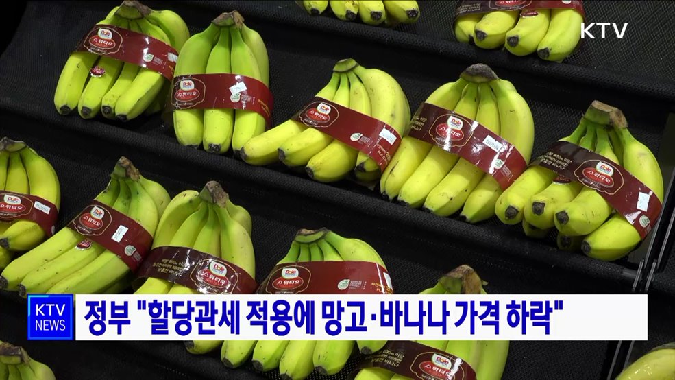 정부 "할당관세 적용에 망고·바나나 가격 하락"