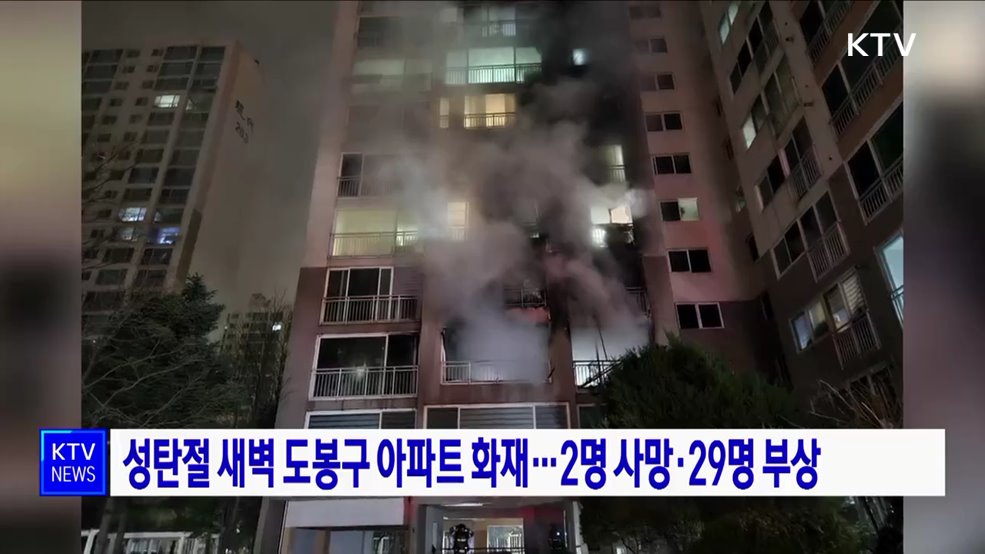 성탄절 새벽 도봉구 아파트 화재···2명 사망·29명 부상