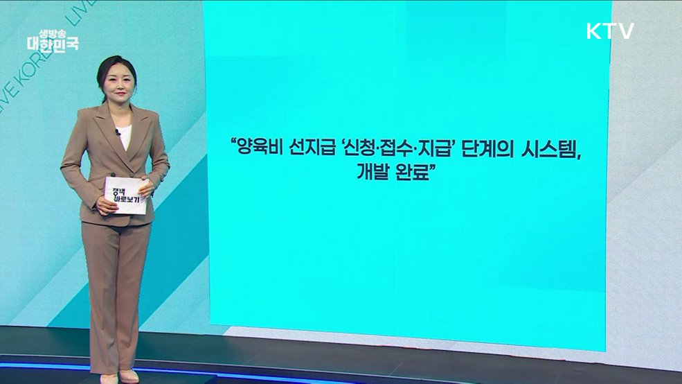 여가부 "양육비 선지급제 차질없는 운영···시스템 구축" [정책 바로보기]