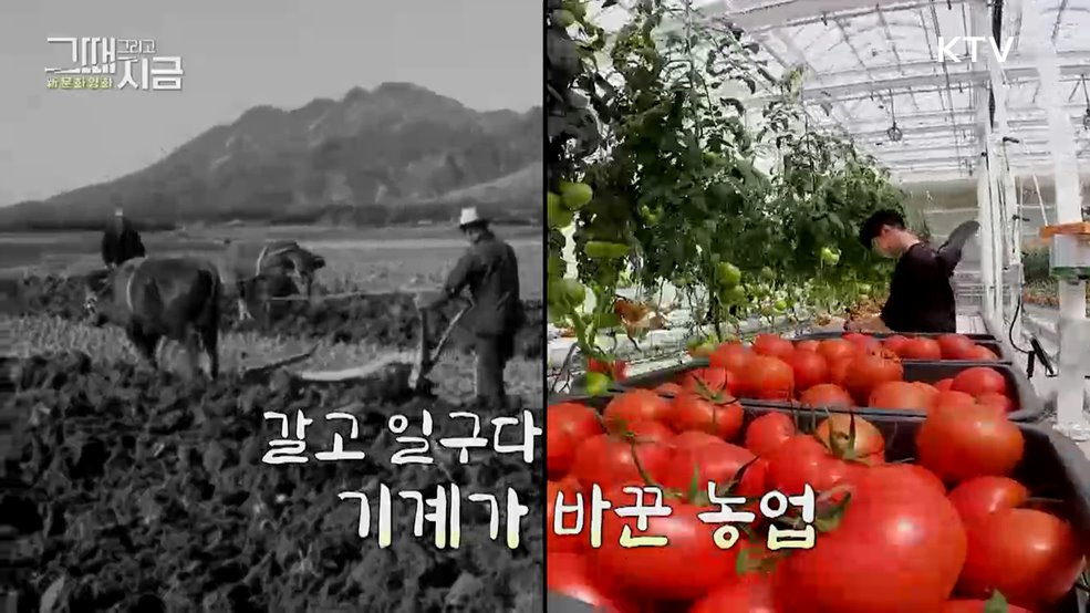 갈고 일구다 - 기계가 바꾼 농업