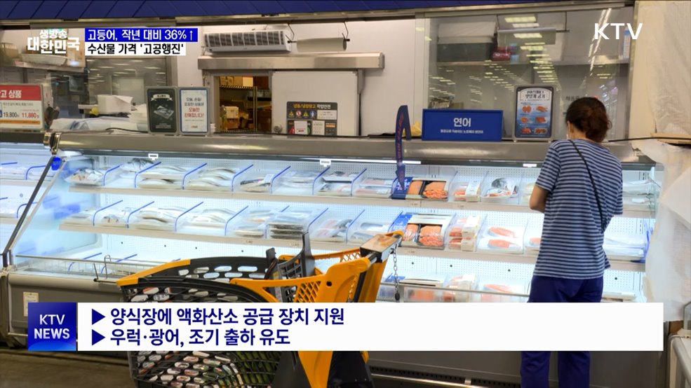고등어 가격 7천 원 코앞···수산물 가격 '고공행진'