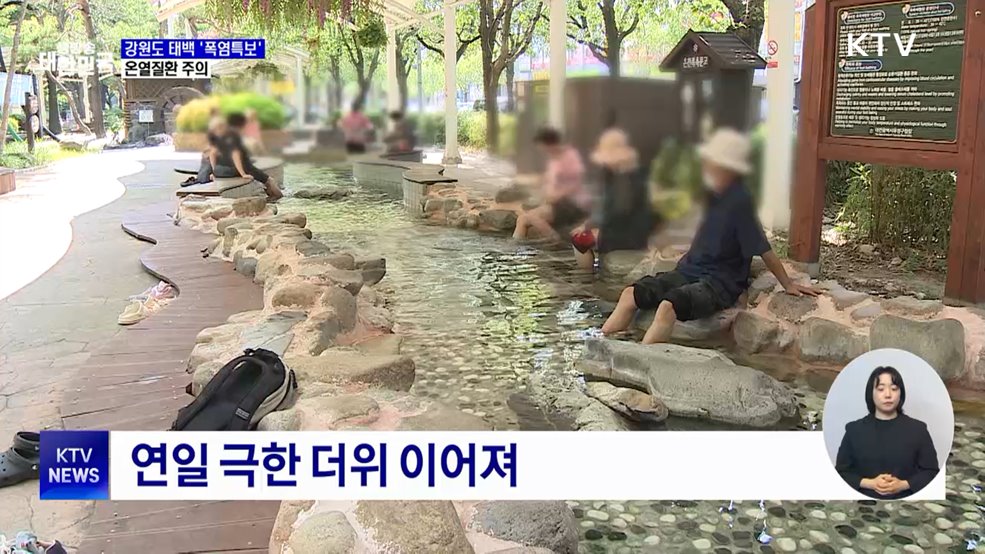 고산지대 태백도 '폭염특보'···온열질환 주의