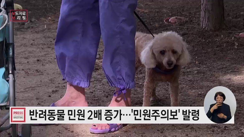 "1년 만에 민원이 2배 가까이 증가"···반려동물 관련 '민원주의보' 발령