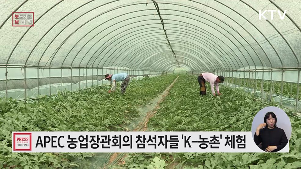 외국인도 반할 '케이(K)-농촌체험'