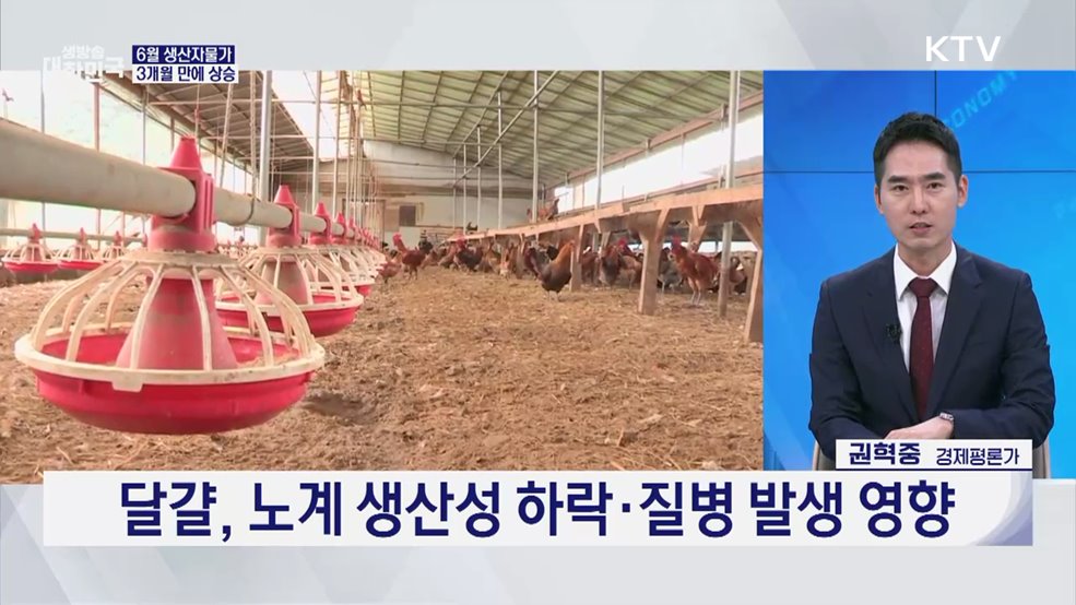 폭우·폭염 덮친 밥상물가 여름철 물가잡기 총력전 [경제&이슈]
