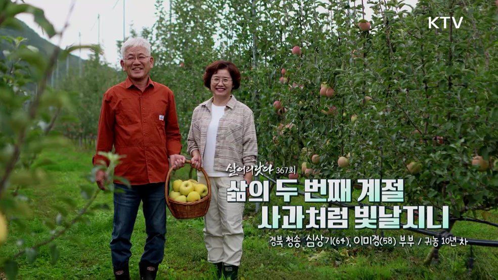 삶이 두 번째 계절 사과처럼 빛날지니