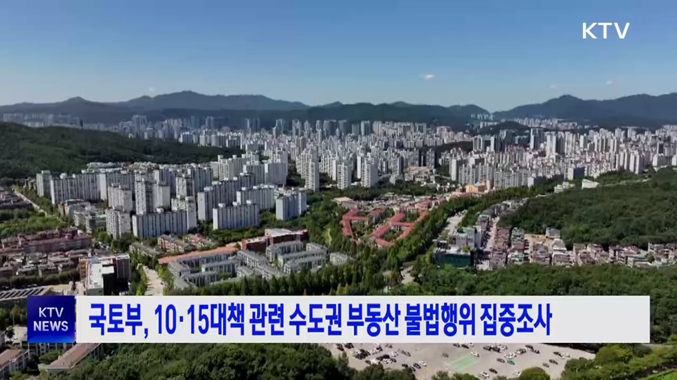 국토부, 10·15대책 관련 수도권 부동산 불법행위 집중조사