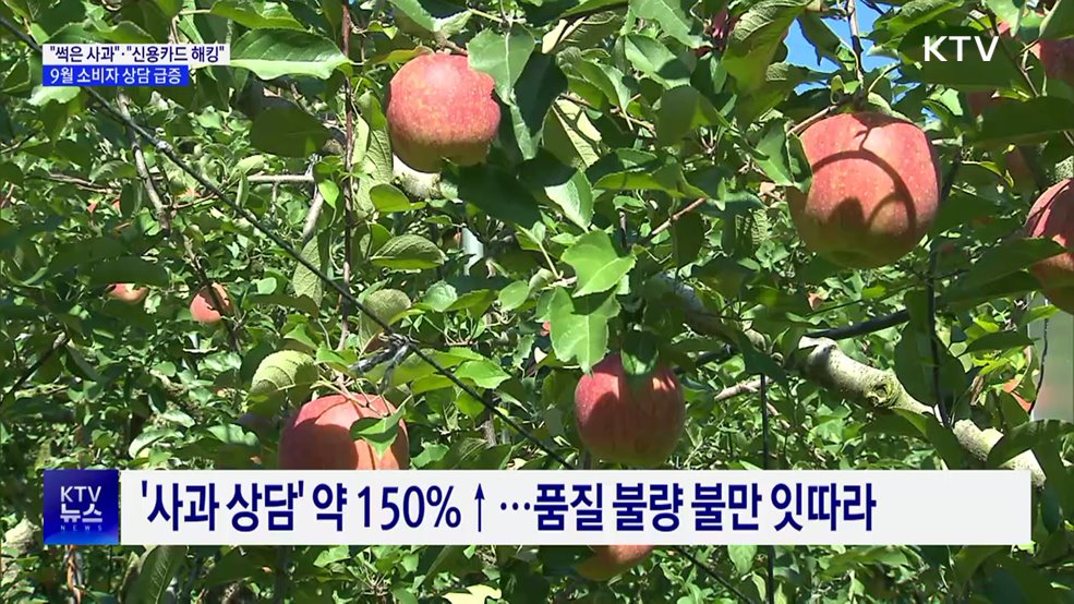 "썩은 사과"·"신용카드 해킹"···9월 소비자 상담 급증