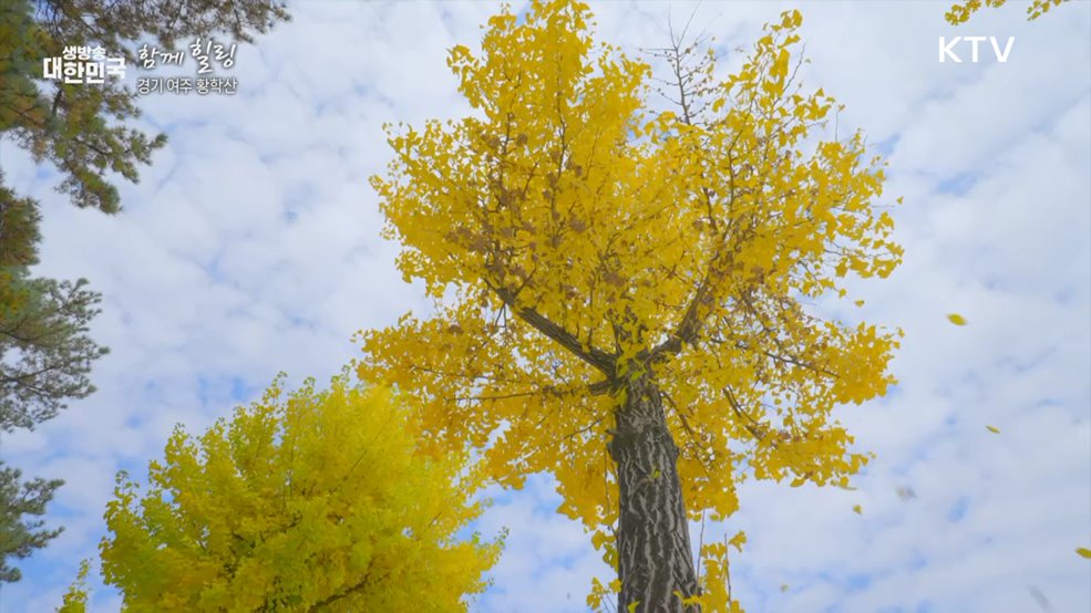 경기 여주 황학산 [함께힐링]