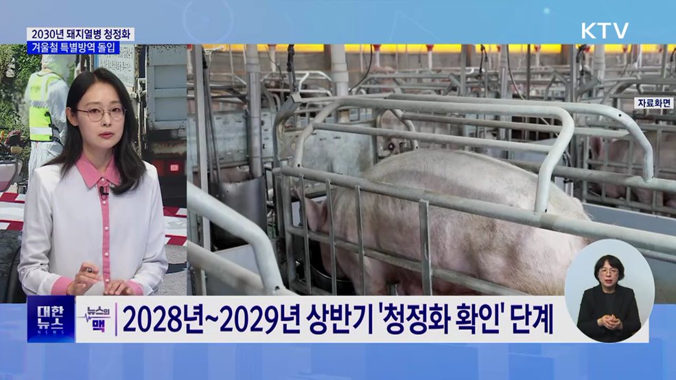 2030년 국내 돼지열병 청정화···겨울철 특별방역 돌입 [뉴스의 맥]