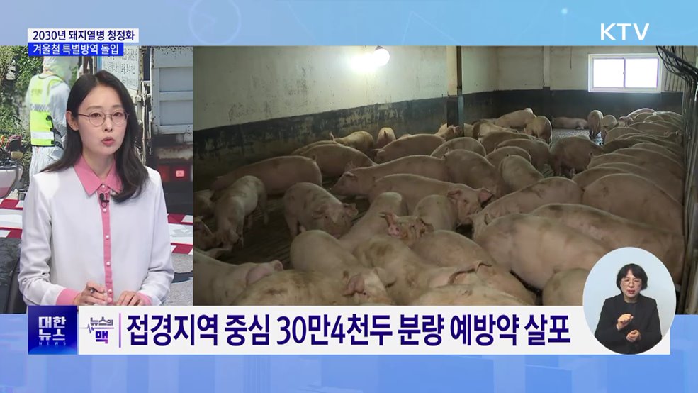 2030년 국내 돼지열병 청정화···겨울철 특별방역 돌입 [뉴스의 맥]