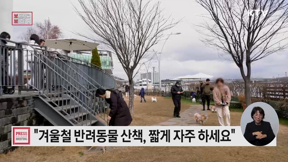 반려동물과 함께 따뜻한 겨울나기