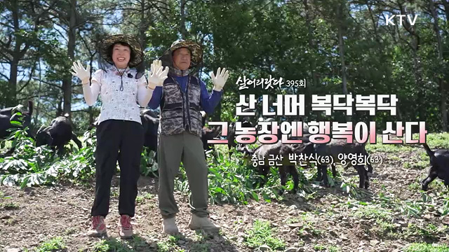 산 너머 복닥복닥 그 농장엔 행복이 산다