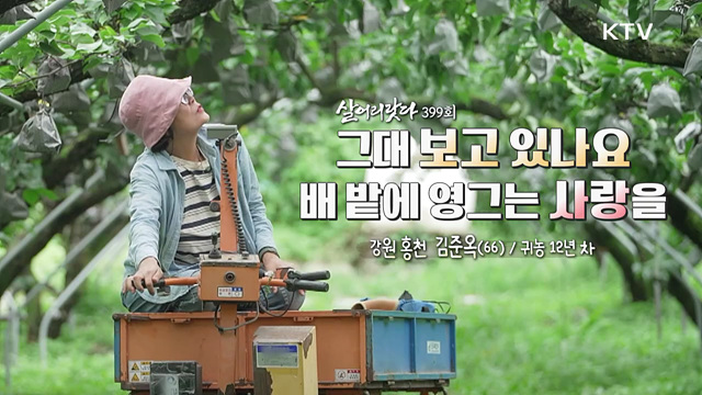 그대 보고 있나요, 배 밭에 영그는 사랑을