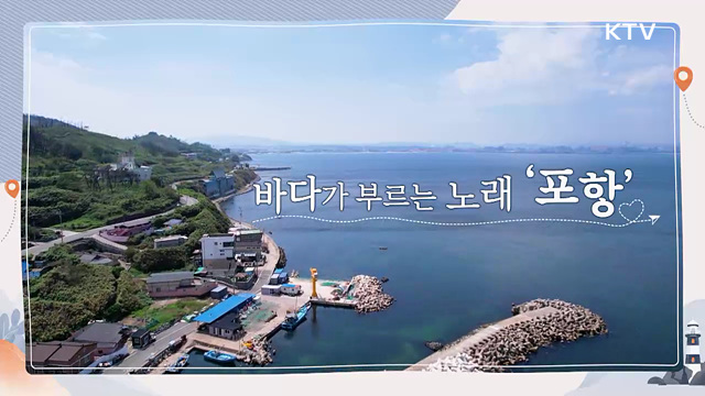 바다가 부르는 노래 '포항'
