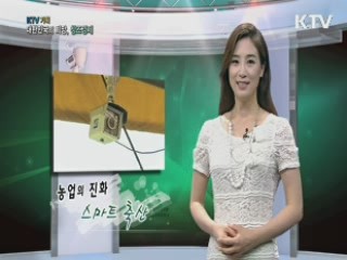 KTV 기획 대한민국의 희망, 창조경제 + (40회)