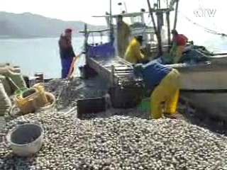 어업용 유류 면세혜택 축소