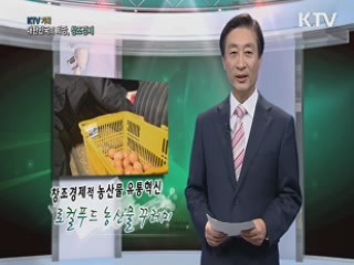 KTV 기획 대한민국의 희망, 창조경제 + (78회)