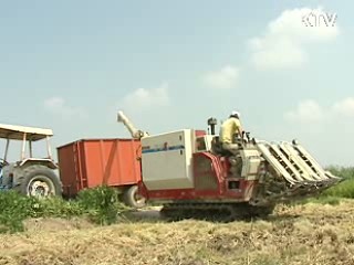 농식품부, 공공비축용 쌀 34만톤 매입