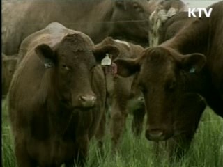한-캐나다 '쇠고기 수입재개' 협상