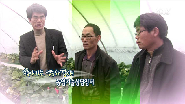 KTV 100년의 행복, 희망 대한민국 + (256회)