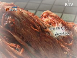 KTV 현장다큐 문화 행복시대 + (88회)
