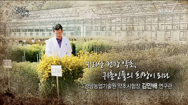 지리산의 건강약초, 귀초인들의 희망이 되다 - 김만배(58세, 경남농업기술원 약초시험장 연구관)
