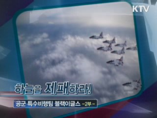 '하늘을 제패하라!' - 공군 특수비행팀 블랙이글스 2부