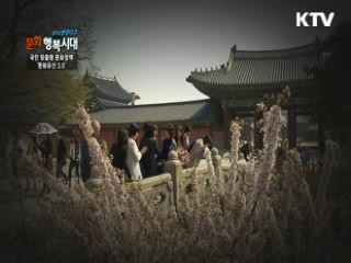 KTV 현장다큐 문화 행복시대 + (96회)