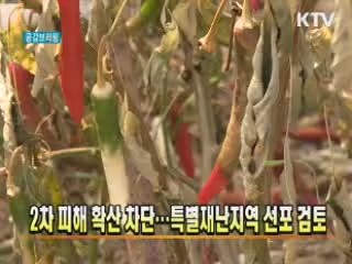2차 피해 확산 차단···특별재난지역 선포 검토