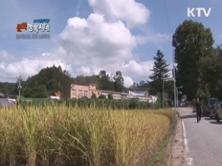 KTV 현장다큐 문화 행복시대 + (70회)