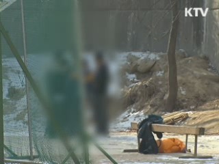 폭력사범 2만여명 검거···"조폭·성폭력 강력 대응"