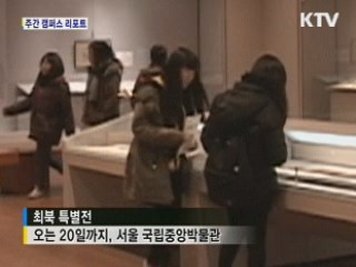 '광기의 화가' 최북 탄생 300주년 특별전 [캠퍼스 리포트]