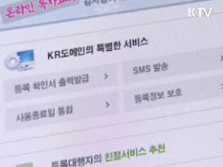 316만건 접수···최고 인기 도메인 '부동산·한국'